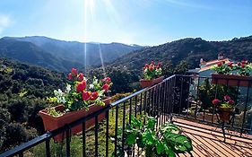 La Casa De Mis Padres